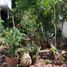 4 Bedroom House for sale in Bacoor City, Calabarzon, Bacoor City