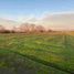  Terreno (Parcela) en venta en Maule, Pelarco, Talca, Maule