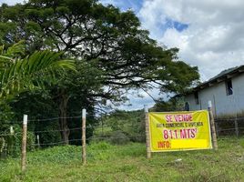  Terreno (Parcela) en venta en Tulua, Valle Del Cauca, Tulua