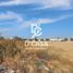  Land for sale in Apaseo El Grande, Guanajuato, Apaseo El Grande