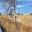  Land for sale in Apaseo El Grande, Guanajuato, Apaseo El Grande