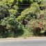 在Coatepec, Veracruz出售的 土地, Coatepec