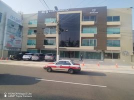 126 m2 Office for rent in Veracruz, Veracruz, Veracruz