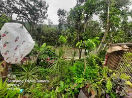  Grundstück zu verkaufen in Cebu, Central Visayas, Balamban, Cebu, Central Visayas