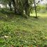  Land for sale in Silang, Calabarzon, Silang, Cavite