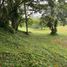  Land for sale in Silang, Calabarzon, Silang, Cavite