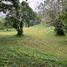  Land for sale in Silang, Calabarzon, Silang