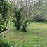  Land for sale in Silang, Calabarzon, Silang, Cavite