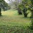  Land for sale in Silang, Calabarzon, Silang, Cavite
