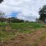 Terrain à vendre à Calamba City, Calabarzon, Calamba City