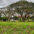 Terrain à vendre à Calamba City, Calabarzon, Calamba City