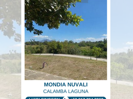  Land for sale in Calamba City, Calabarzon, Calamba City
