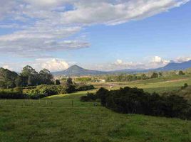  Land for sale in La Ceja, Antioquia, La Ceja