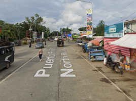 Land for sale in Puerto Princesa City, Mimaropa, Puerto Princesa City, Palawan, Mimaropa