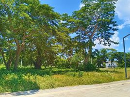  Land for sale in San Juan, Batangas, San Juan