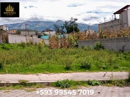  Land for sale in Otavalo, Imbabura, Otavalo, Otavalo