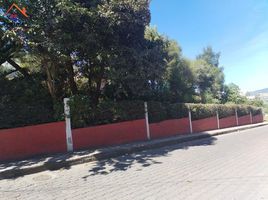 7 Habitación Villa en venta en Imbabura, Otavalo, Otavalo, Imbabura