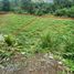  Land for sale in Santo Domingo De Los Colorados, Santo Domingo De Los Tsachilas, Santo Domingo De Los Colorados, Santo Domingo, Santo Domingo De Los Tsachilas