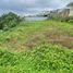  Land for sale in Santo Domingo De Los Colorados, Santo Domingo De Los Tsachilas, Santo Domingo De Los Colorados, Santo Domingo, Santo Domingo De Los Tsachilas