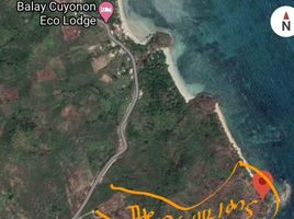  Land for sale in El Nido, Palawan, El Nido