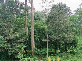  Land for sale in Tajinan, Malang Regency, Tajinan