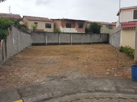  Terreno (Parcela) en venta en Daule, Guayas, Daule, Daule