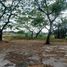  Terreno (Parcela) en venta en Quezon City, Metro Manila, Quezon City, Eastern District, Metro Manila