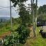  Land for sale in Lembang, Bandung, Lembang