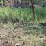 Land for sale in Liloan, Central Visayas, Liloan