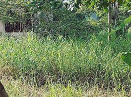  Land for sale in Liloan, Central Visayas, Liloan