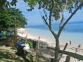  Terrain for sale in Island Garden Samal City, Davao del Norte, Island Garden Samal City