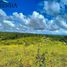  Land for sale in Cebu Central Visayas, Tabuelan
