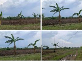  Terreno (Parcela) en alquiler en Tanza, Cavite, Tanza