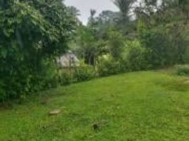  Terreno (Parcela) en venta en San Martín, Tarapoto, San Martín, San Martín