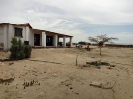  Grundstück zu verkaufen in Catacaos, Piura, Catacaos, Piura, Piura, Peru