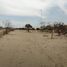  Grundstück zu verkaufen in Catacaos, Piura, Catacaos, Piura, Piura, Peru
