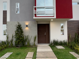 3 Schlafzimmer Villa zu verkaufen in Temoaya, Mexico, Temoaya