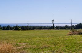 Terreno (Parcela) con&nbsp;N/A y&nbsp;N/A disponible para la venta enLos Lagos, Chile en la promoción Fundo el Rincón 