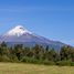 Terreno (Parcela) en venta en Fundo el Rincón, Puerto Varas, Llanquihue, Los Lagos, Chile
