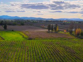  Terreno (Parcela) en venta en Raíces de Villa Alegre, Linares, Linares, Maule