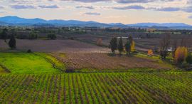 Viviendas disponibles en Raíces de Villa Alegre
