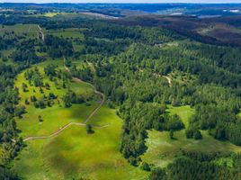  Land for sale at Fundo Las Ortigas, Fresia, Llanquihue, Los Lagos, Chile