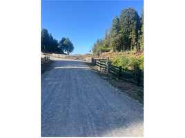  Land for sale at Pulelfu - El Encanto - Lago Rupanco - PUYEHUE, Entre Lagos, Osorno, Los Lagos, Chile