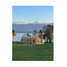  Land for sale at Pulelfu - El Encanto - Lago Rupanco - PUYEHUE, Entre Lagos, Osorno, Los Lagos, Chile
